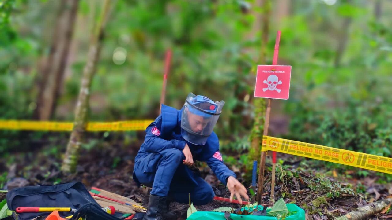 El Ejército espera terminar esta labor a finales del mes de diciembre.