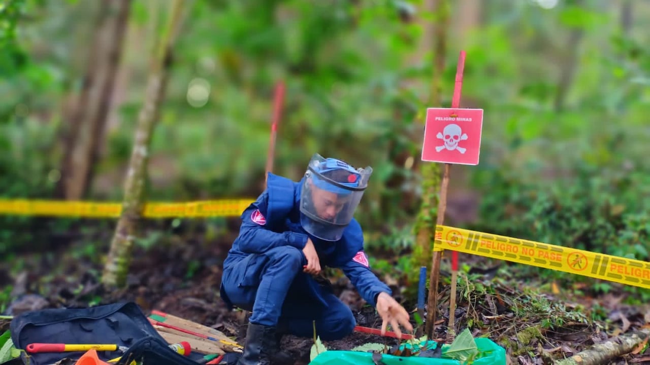 Imagen de referencia sobre labores de desminado adelantadas por el Ejército Nacional en noviembre de 2023.