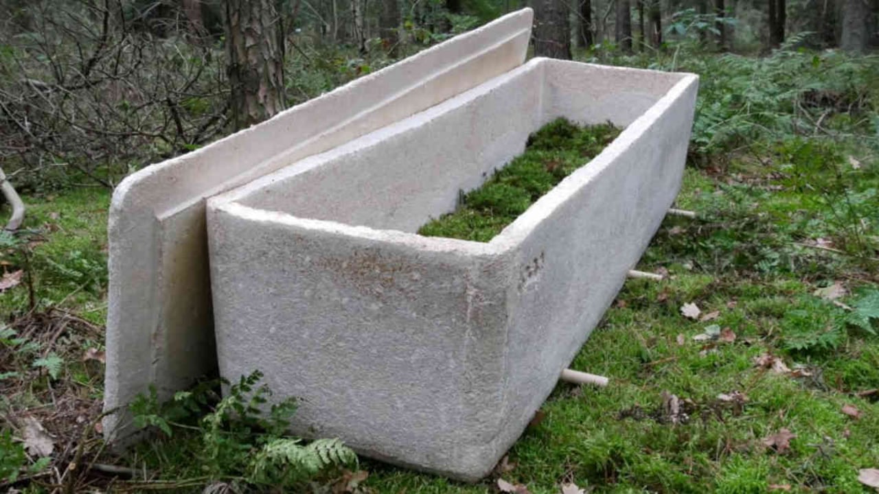 Tardan siete días en construir este ataúd hecho a base de hongos. | Mundo hoy. Foto: AFP