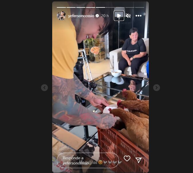 Yeferson Cossio recibió gallinas como regalo de Navidad