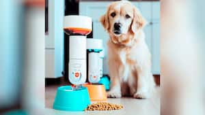 Los dispensadores de comida inteligentes se han convertido en un dispositivo muy popular para los dueños de mascotas.
