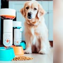 Los dispensadores de comida inteligentes se han convertido en un dispositivo muy popular para los dueños de mascotas.