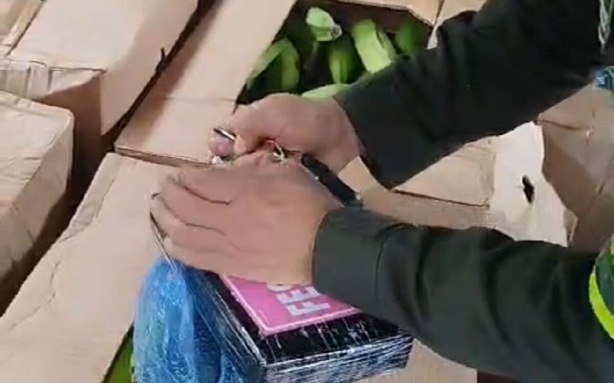 El hallazgo se produjo en el sector de Los Pinos en la vía Calarcá - Ibagué.