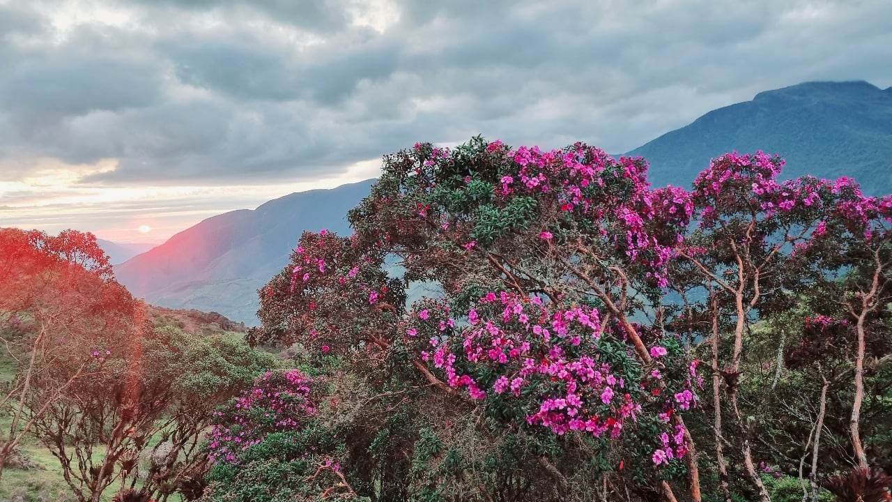 Primera travesía ciclomontañista de Colombia, Gutiérrez, Cundinamarca