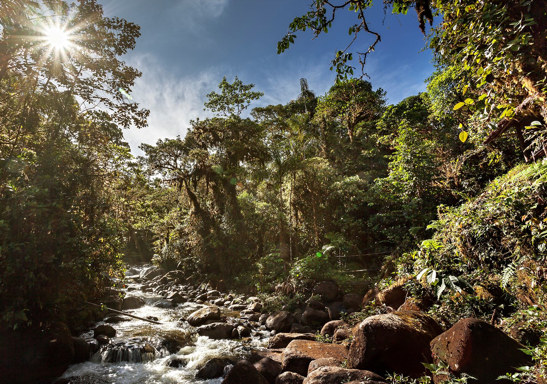 Choco biogeográfico.