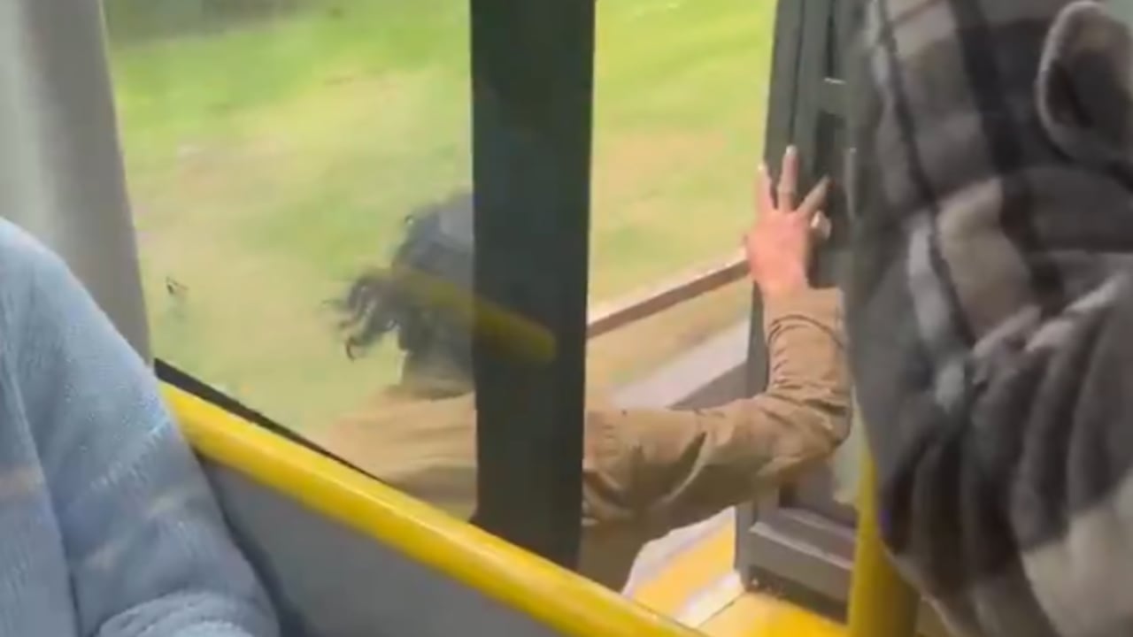 El hombre podría haber forzado una de las entradas del articulado.