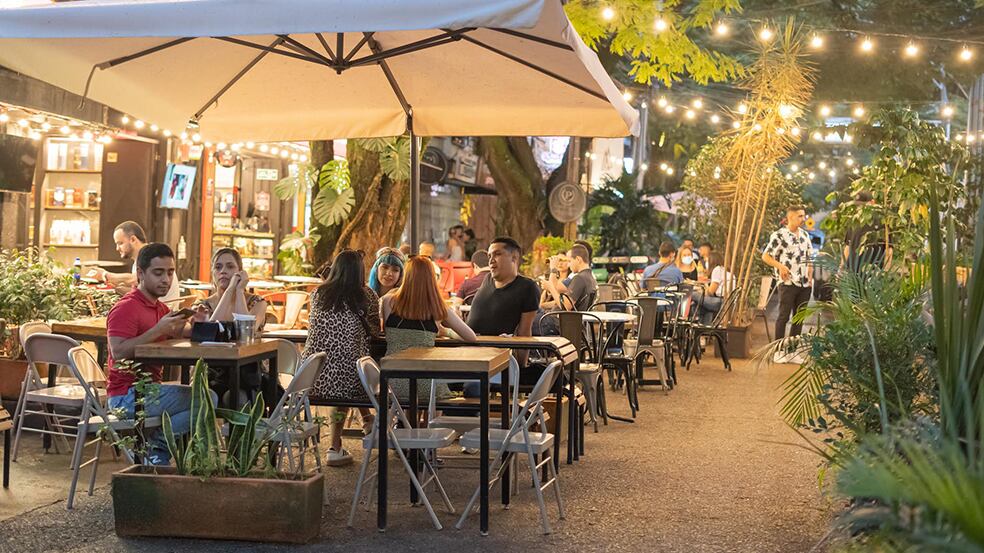 Contenidos Alcaldía de Medellín