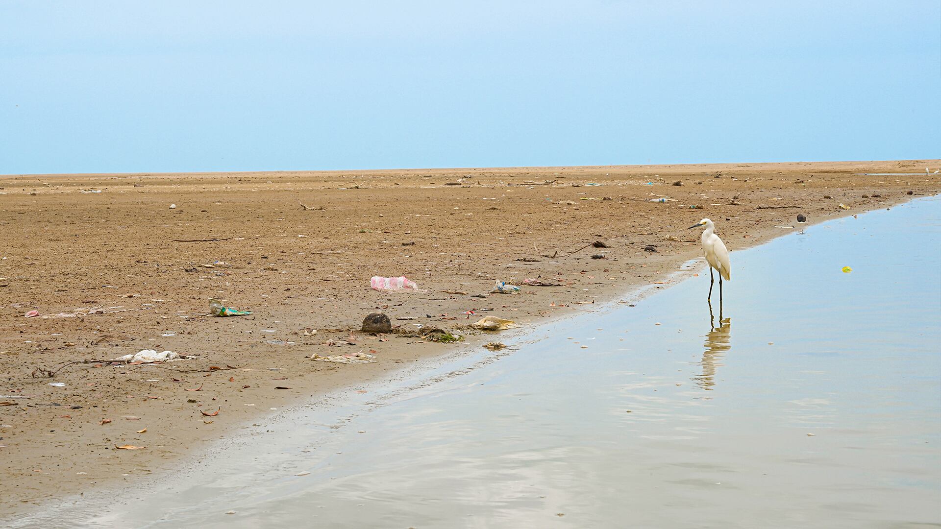 El Santuario de Fauna y Flora Los Flamencos es una reserva natural donde habitan 25 especies endémicas.