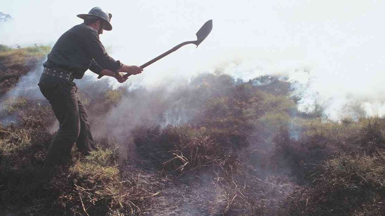 Por primera vez, un estudio logró asociar los incendios forestales presentados en la Orinoquia durante los primeros tres meses del año con el deterioro de la calidad del aire en grandes capitales ubicadas en el centro de Colombia. Foto: Archivo Semana.