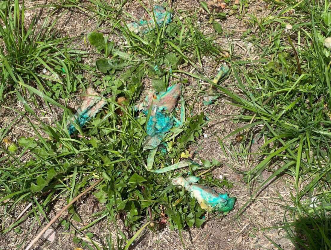 Esta es la evidencia encontrada por las autoridades de los huesos que se está usando.