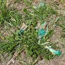 Esta es la evidencia encontrada por las autoridades de los huesos que se está usando.