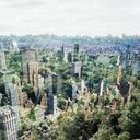 Edificios de Nueva York con árboles.