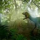 Las exposiciones estarán abiertas al público desde el próximo 25 de julio.