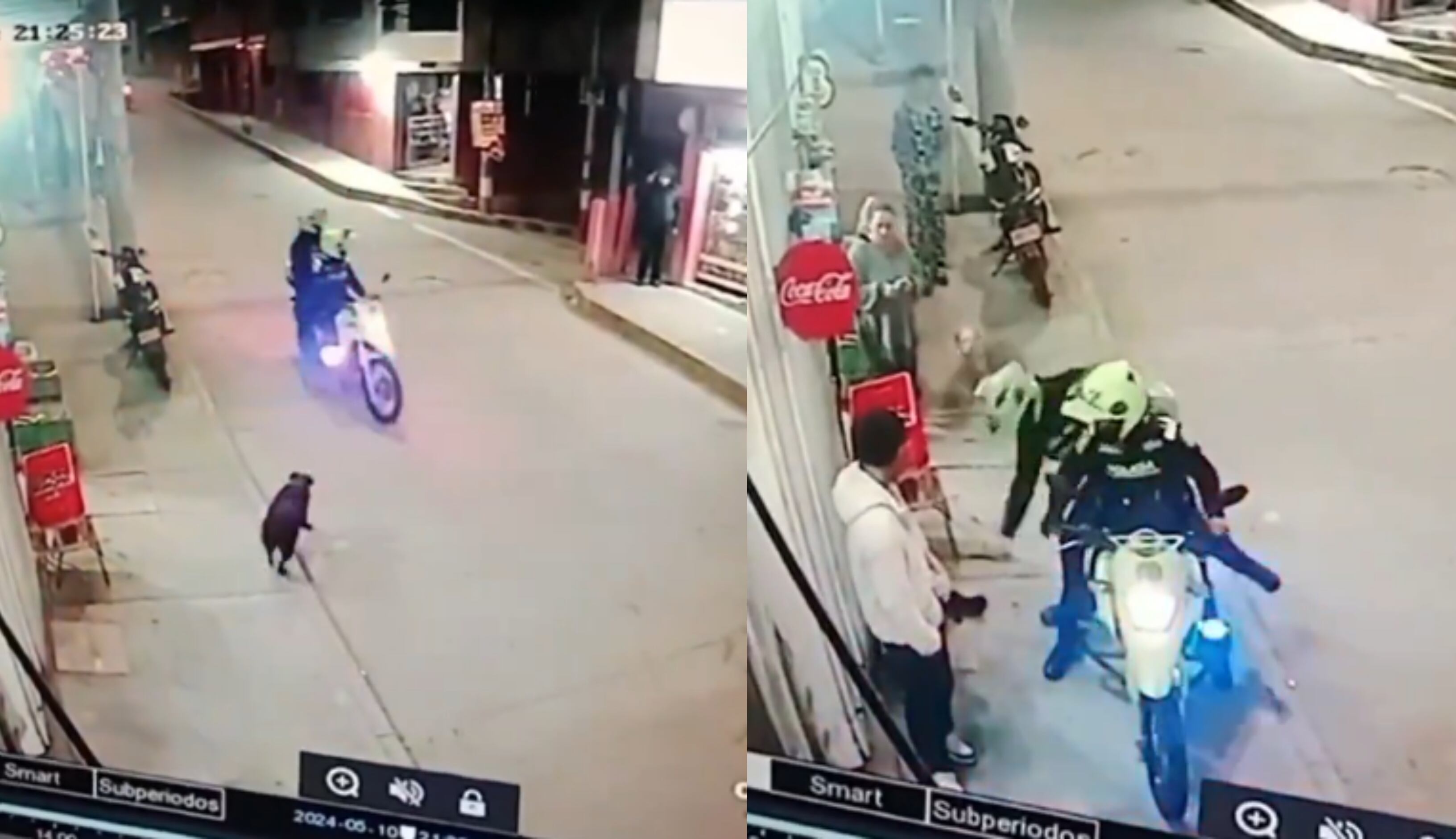 Los policías se devolvieron con la única intención de golpear al canino.