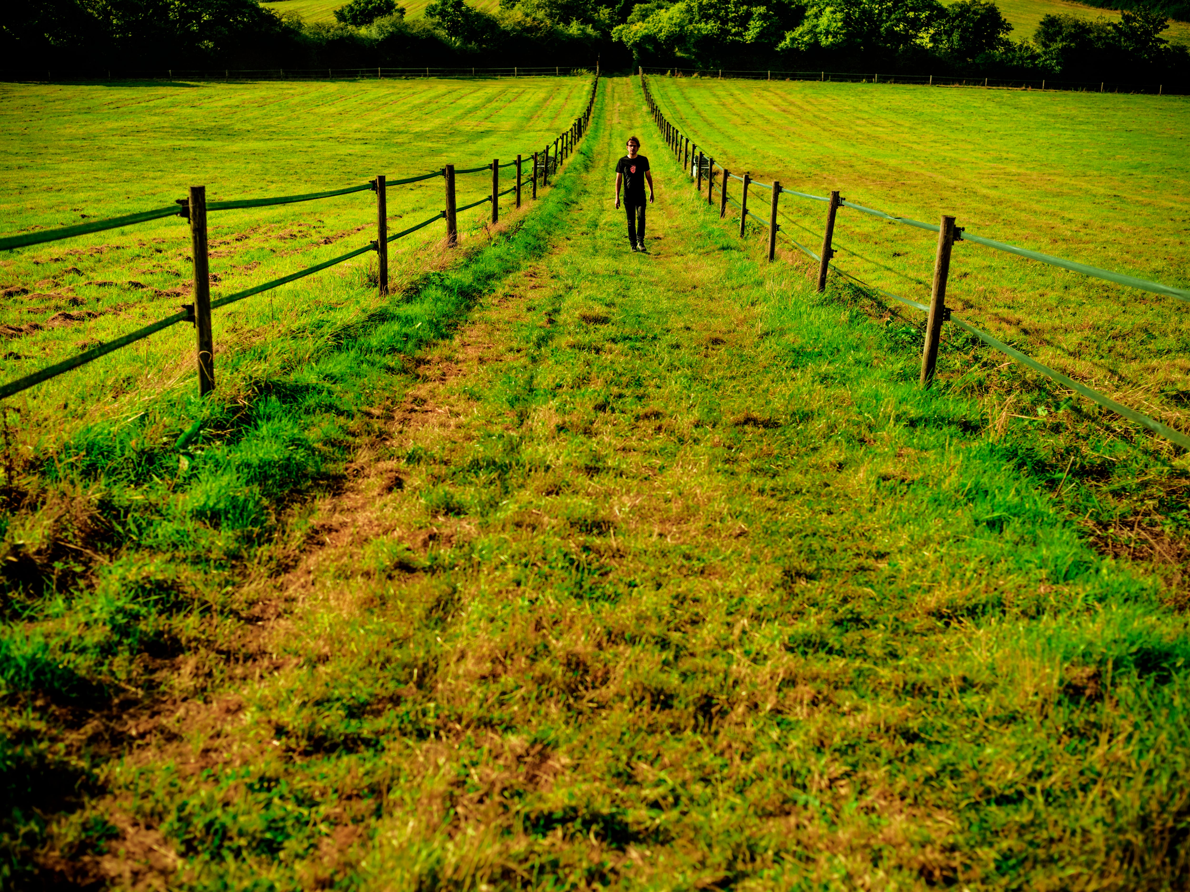 Steven Wilson/ 'The Overview'