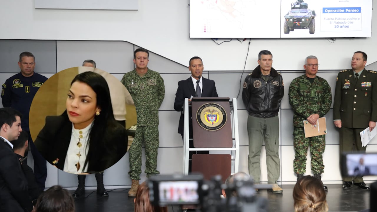 Nueva viceministra de Defensa genera revuelo en las fuerzas armadas.