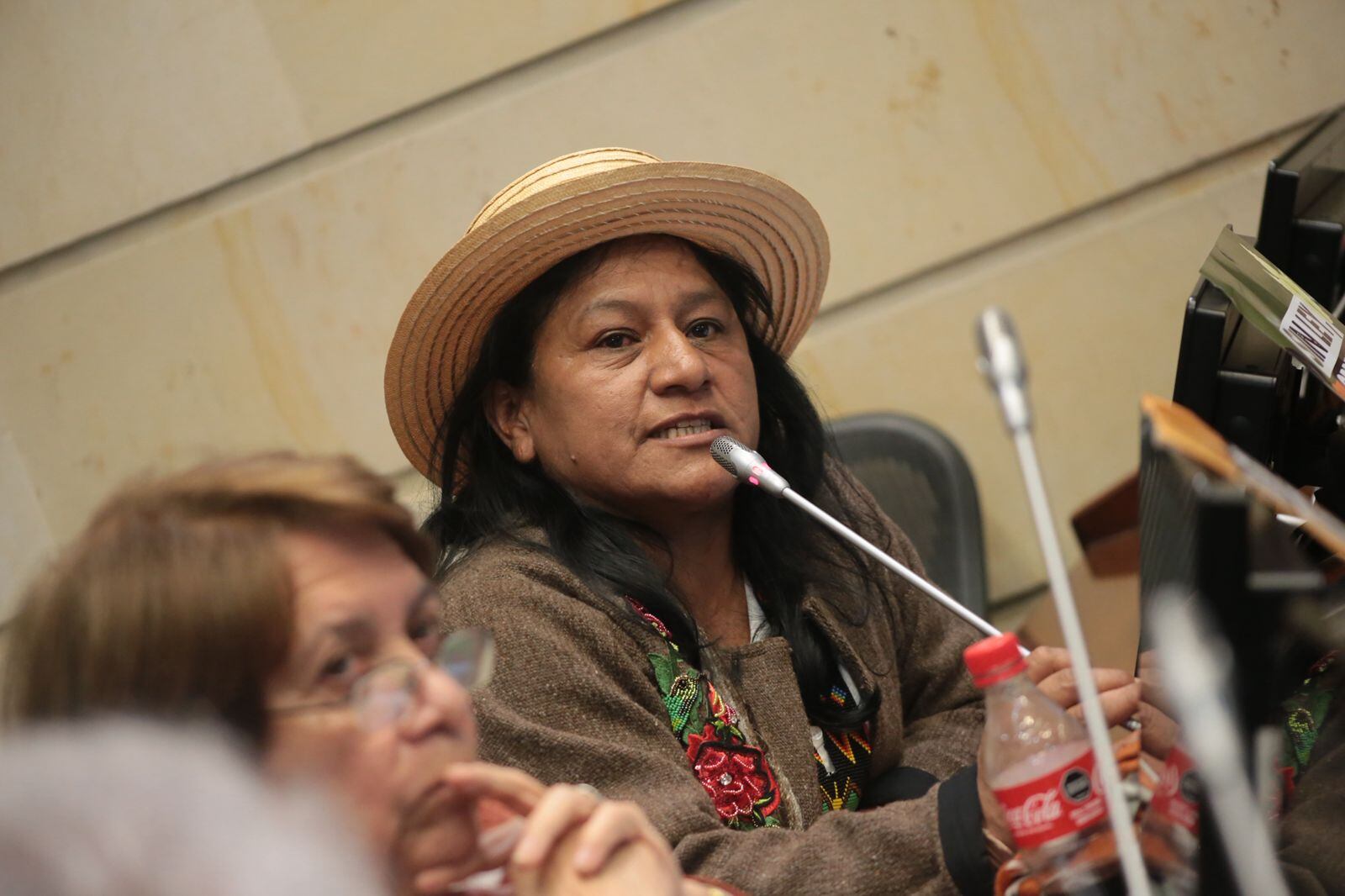 Aida Quilcué, candidata vicepresidencial de Iván Cepeda.