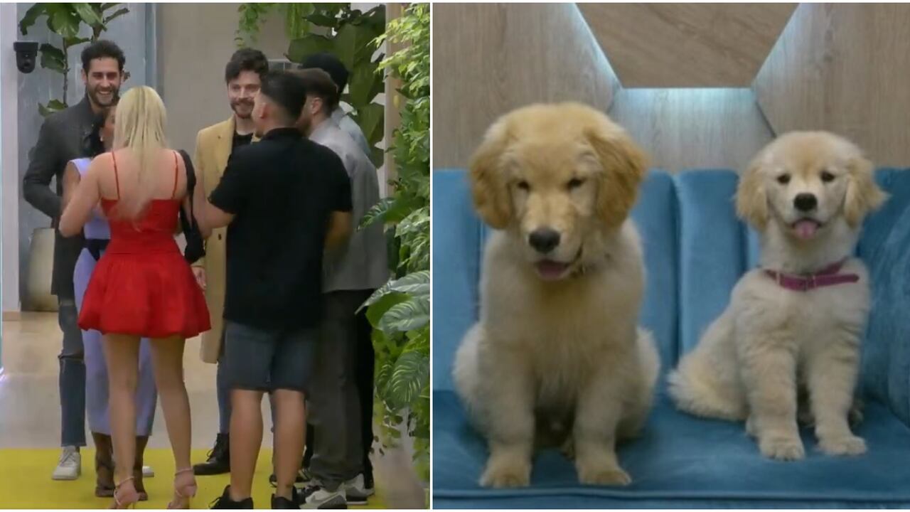 Poll y Menta reingresan a 'La casa de los famosos Colombia'.