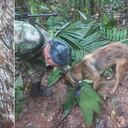 Niños avioneta accidente Caquetá