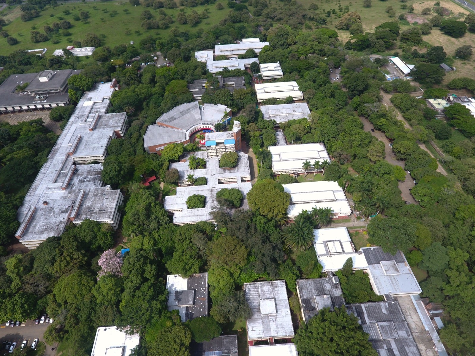 Especial Cali y Valle del Cauca, Editorial Universidad del Valle