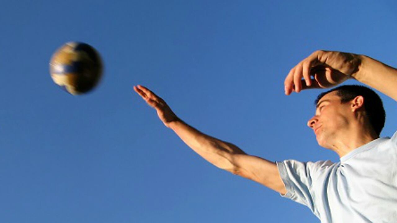 Entrenadores deportivos a estudiar.
