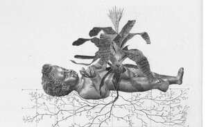 'Un bosque dormido', escrito por Luciano Peláez e ilustrado por Johan Salazar.