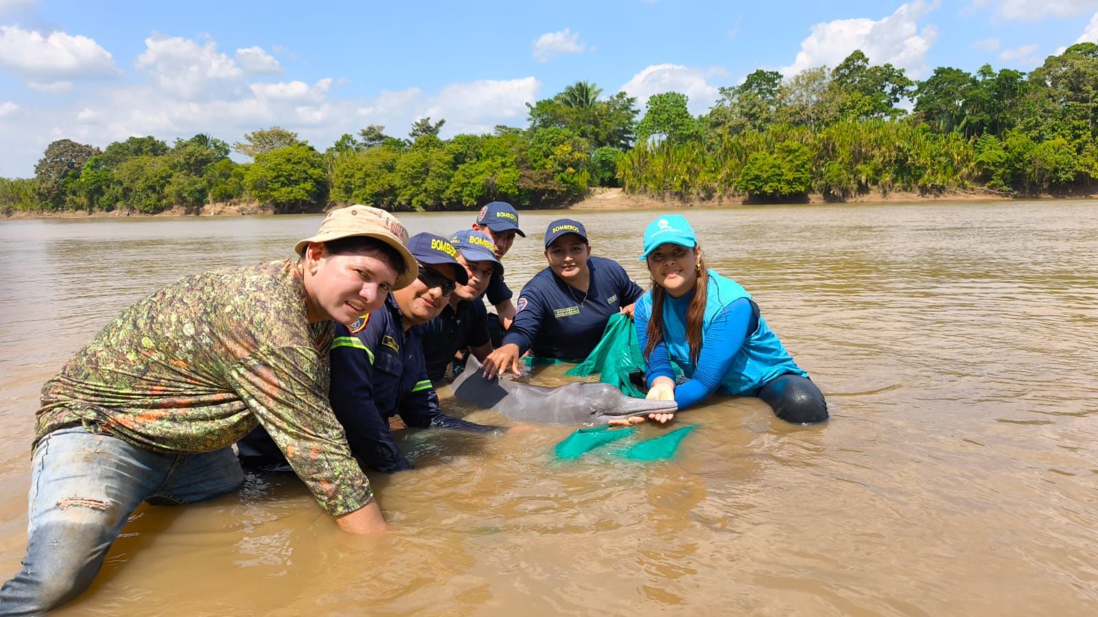 Delfín Rosado fue rescatado tras quedar varado en medio de una vereda en Arauca