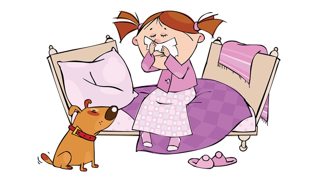 Ninguna raza canina puede ser considerada hipoalérgica