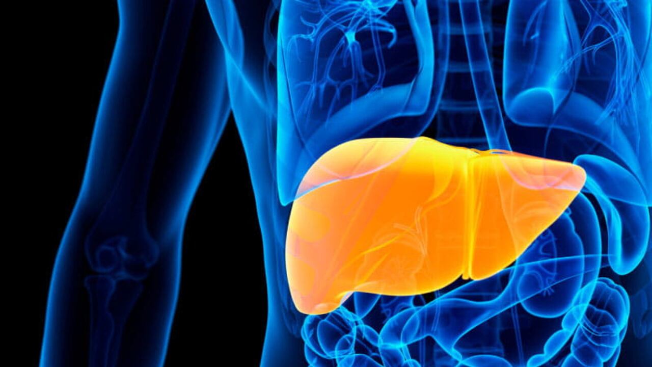 La enfermedad de hígado graso es una afección silenciosa que tiene pocos o ningún síntoma.