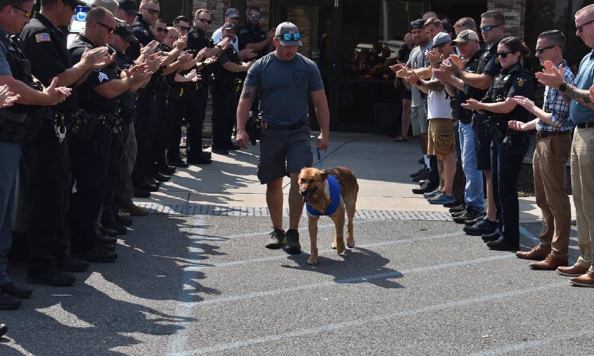 El perro fue atacado por un delincuente que pretendía robar casas en un vecindario