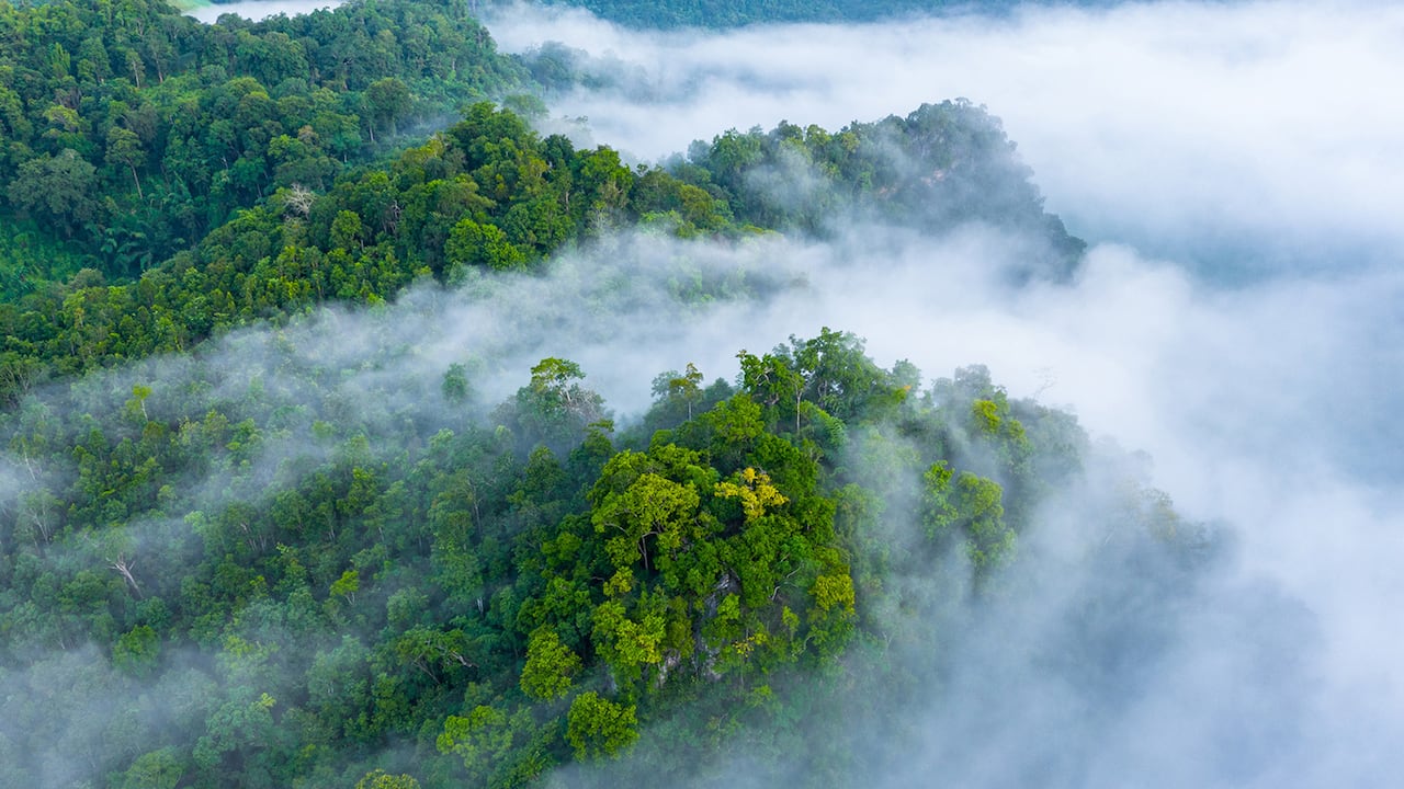 Ante la primera temporada seca del año, el Ideam advierte de un incremento en la radiación.