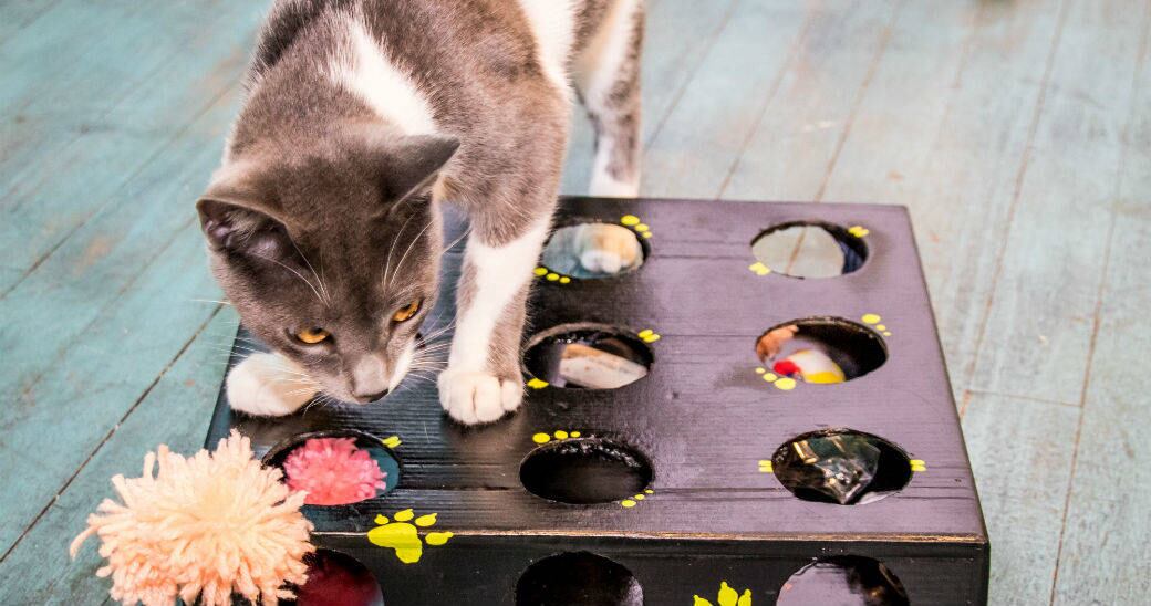 Sigue paso a paso las instrucciones.