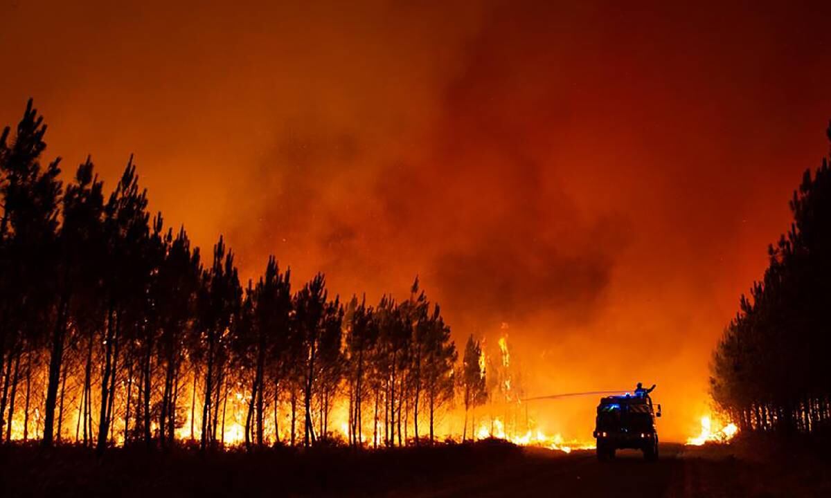 Francia, España y Portugal, los países más afectados por incendios forestales en medio de ola de calor en Europa
