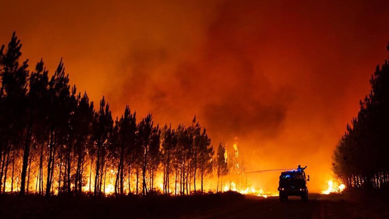 Francia, España y Portugal, los países más afectados por incendios forestales en medio de ola de calor en Europa