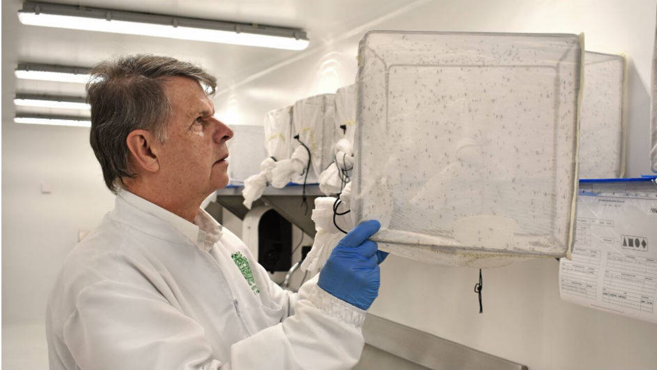 Foto: Profesor y científico paisa, Iván Darío Vélez.