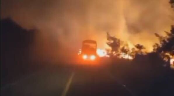 El fuego llego hasta el borde de carretera.