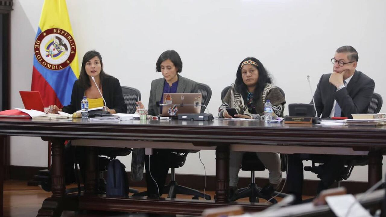 Ministra de Minas y Energía, Irene Vélez.