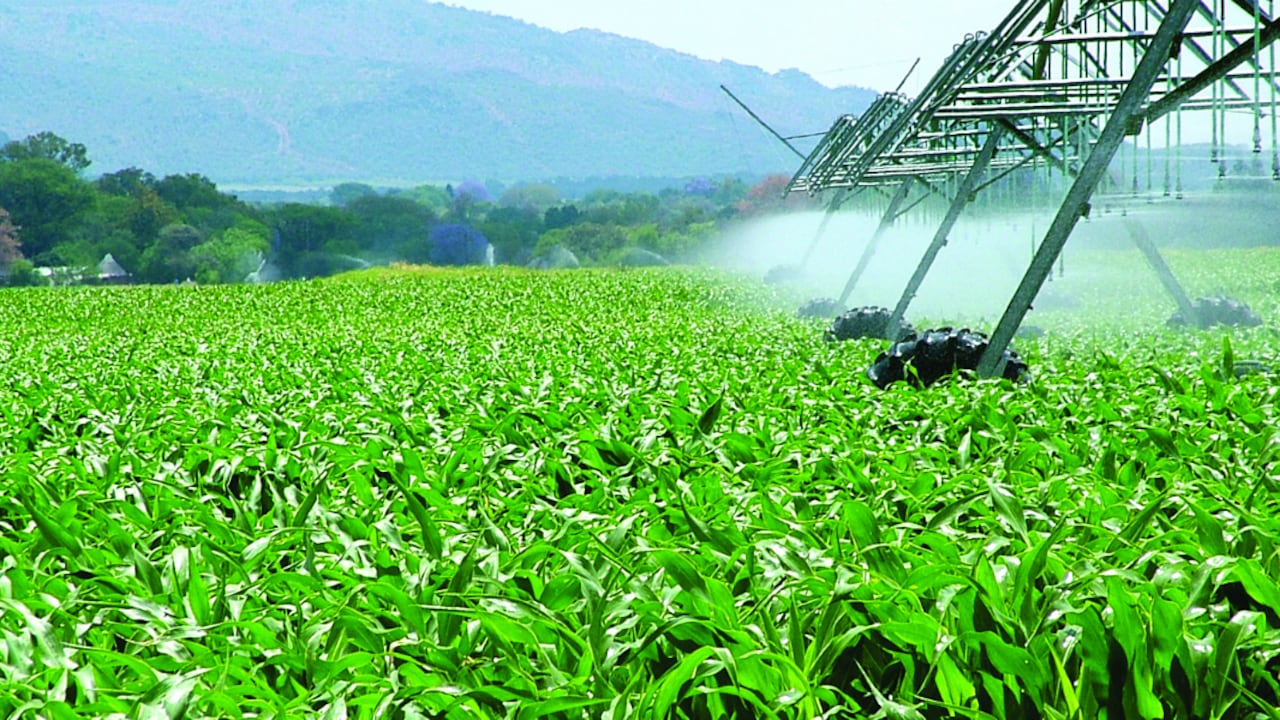 El sector agrícola es el mayor usuario de los recursos hídricos, lo que representa aproximadamente el 70% de todas las extracciones de agua dulce a nivel mundial.