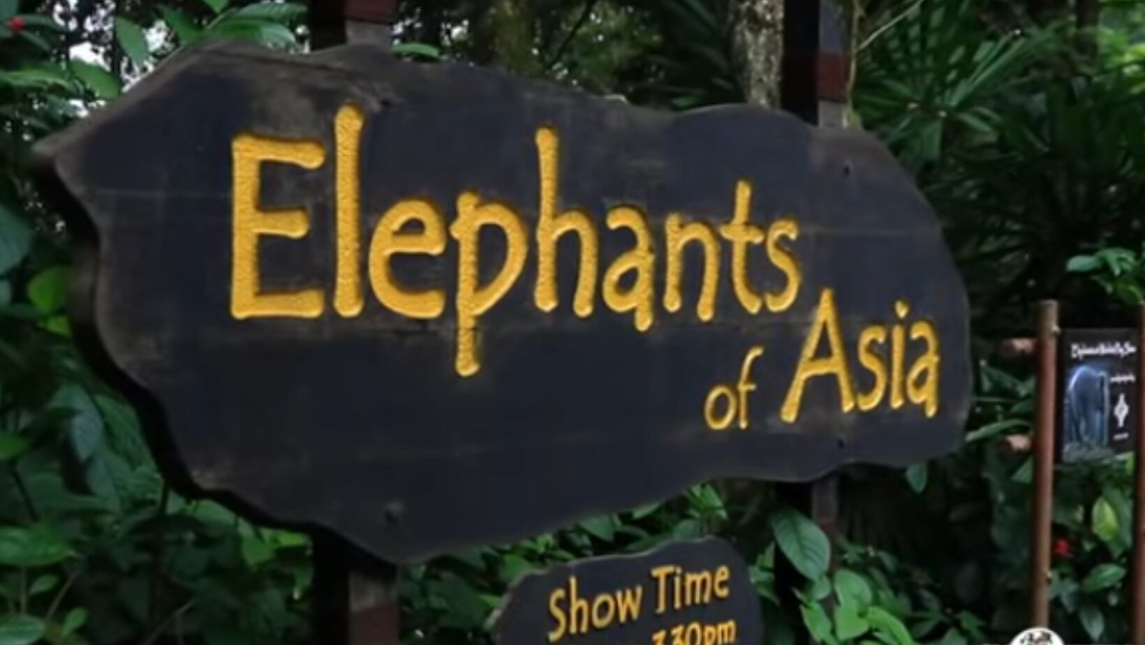 El zoológico de Singapur ofrece muchas atracciones para los turistas