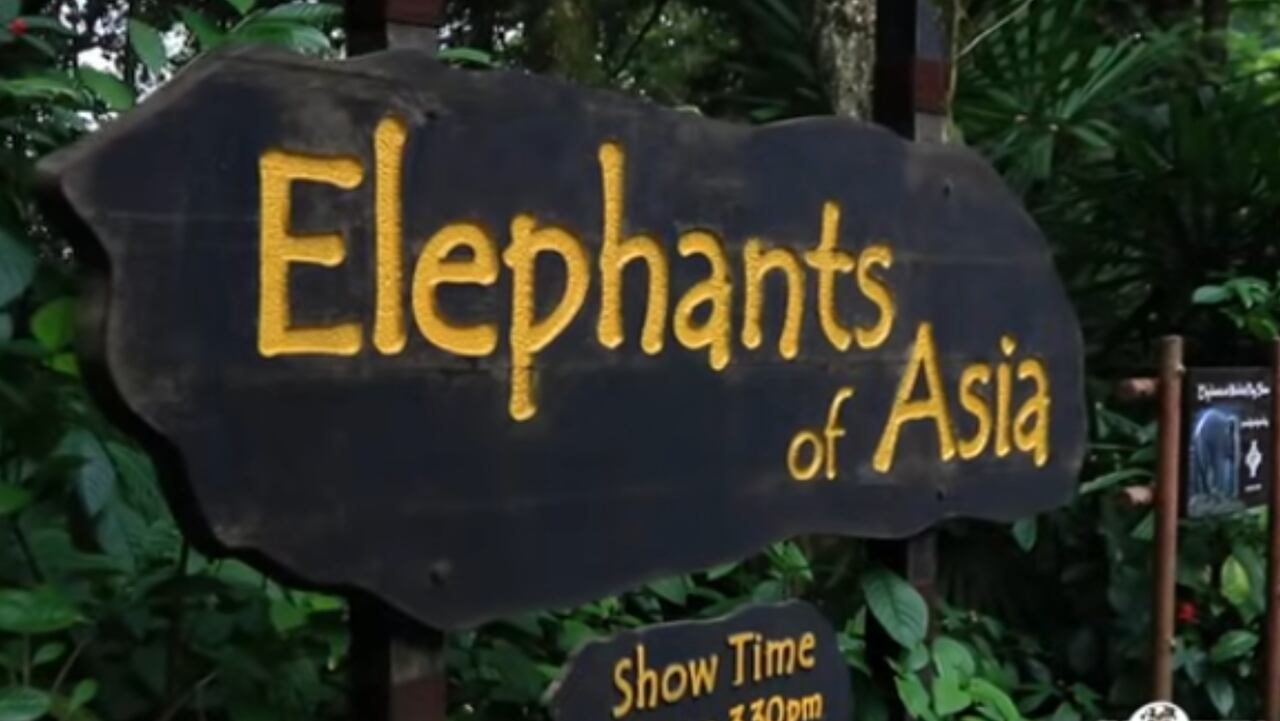 El zoológico de Singapur ofrece muchas atracciones para los turistas