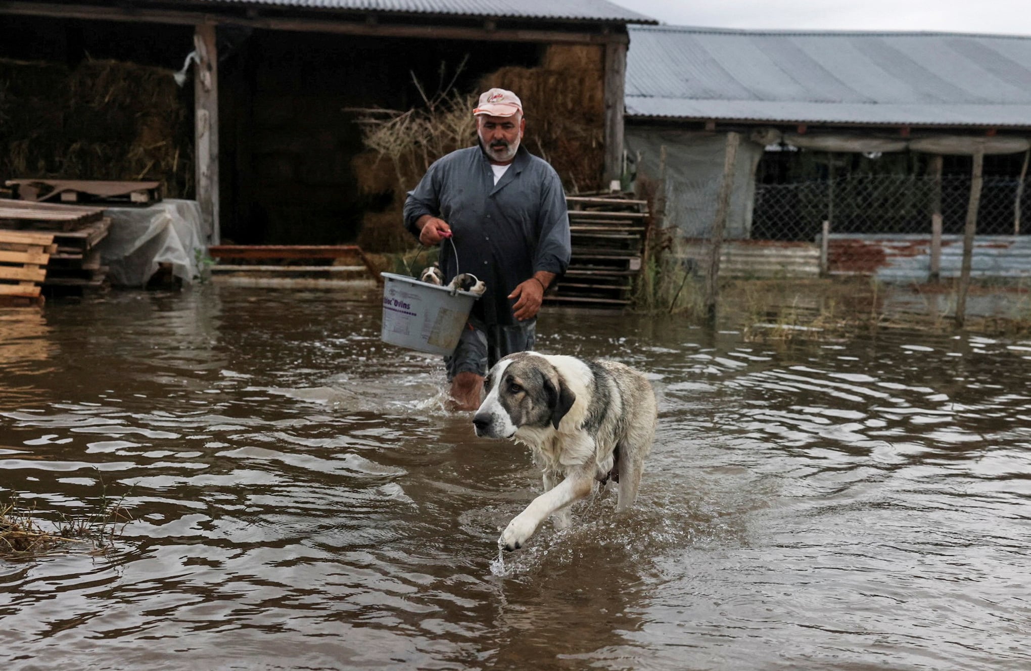Fotos de la semana 8 septiembre