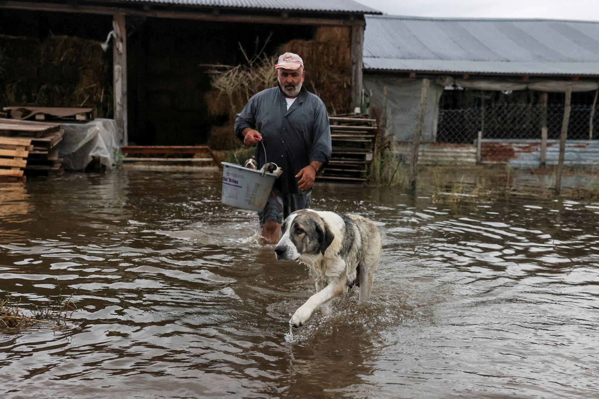 Fotos de la semana 8 septiembre