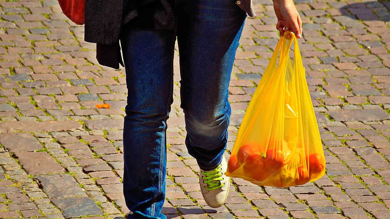 Gobierno de Chile promulgó la ley que prohíbe la entrega de bolsas de plástico en el comercio. Foto: archivo/Semana.com
