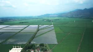 En un predio ubicado en Mulaló, junto a la vía que conduce a Rozo, era que Emcali tenía proyectada la construcción de la granja solar en el pasado.