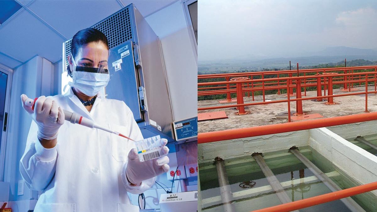 A la conquista del Pacífico