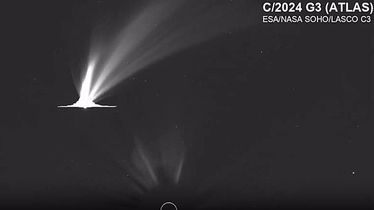 La cabeza del cometa se volvió tan brillante que abrumó el sensor de LASCO, creando bandas horizontales artificiales (conocidas como “sangrado”) en las imágenes.