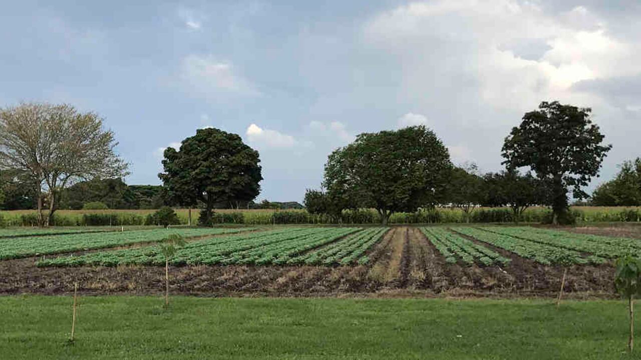 El gobierno británico ha dispuesto tres fondos de financiación para las iniciativas de cooperación en ciencia e innovación en Colombia.