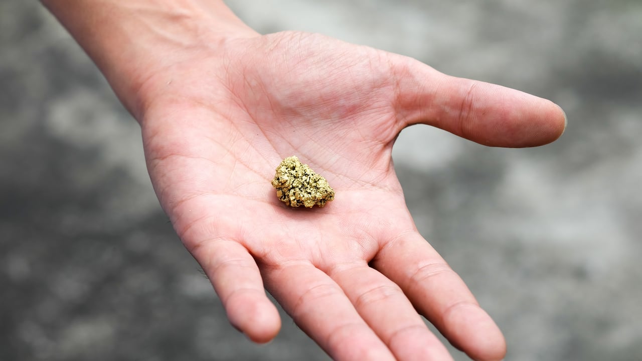 Es catalogado por algunos como el “descubrimiento del siglo”.