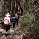 Camino ecológico del sendero Las Moyas, ubicado en los cerros orientales Bogotá.