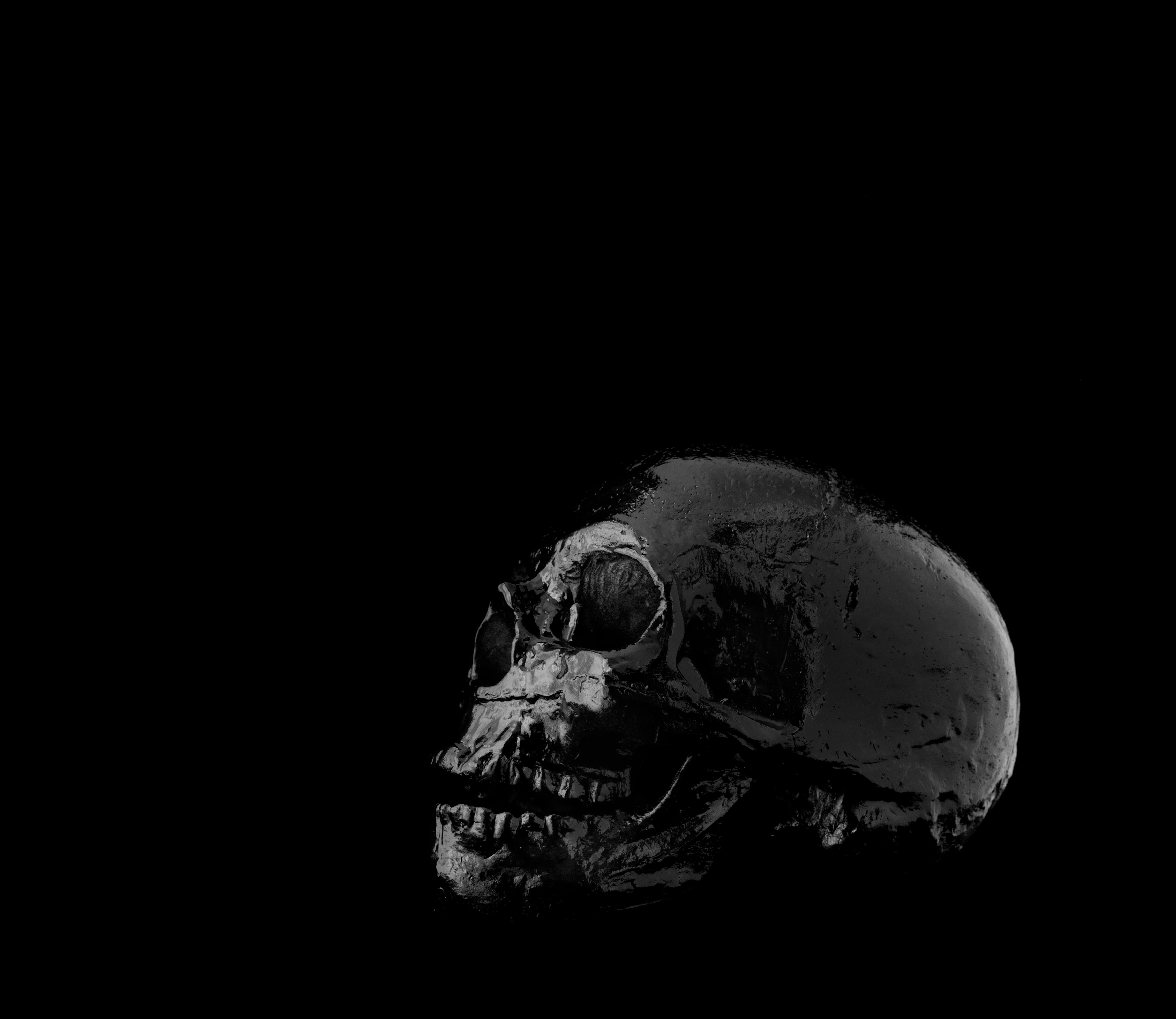 El dueño del sitio aseguró que desconocía que se tratara de una parte humana.